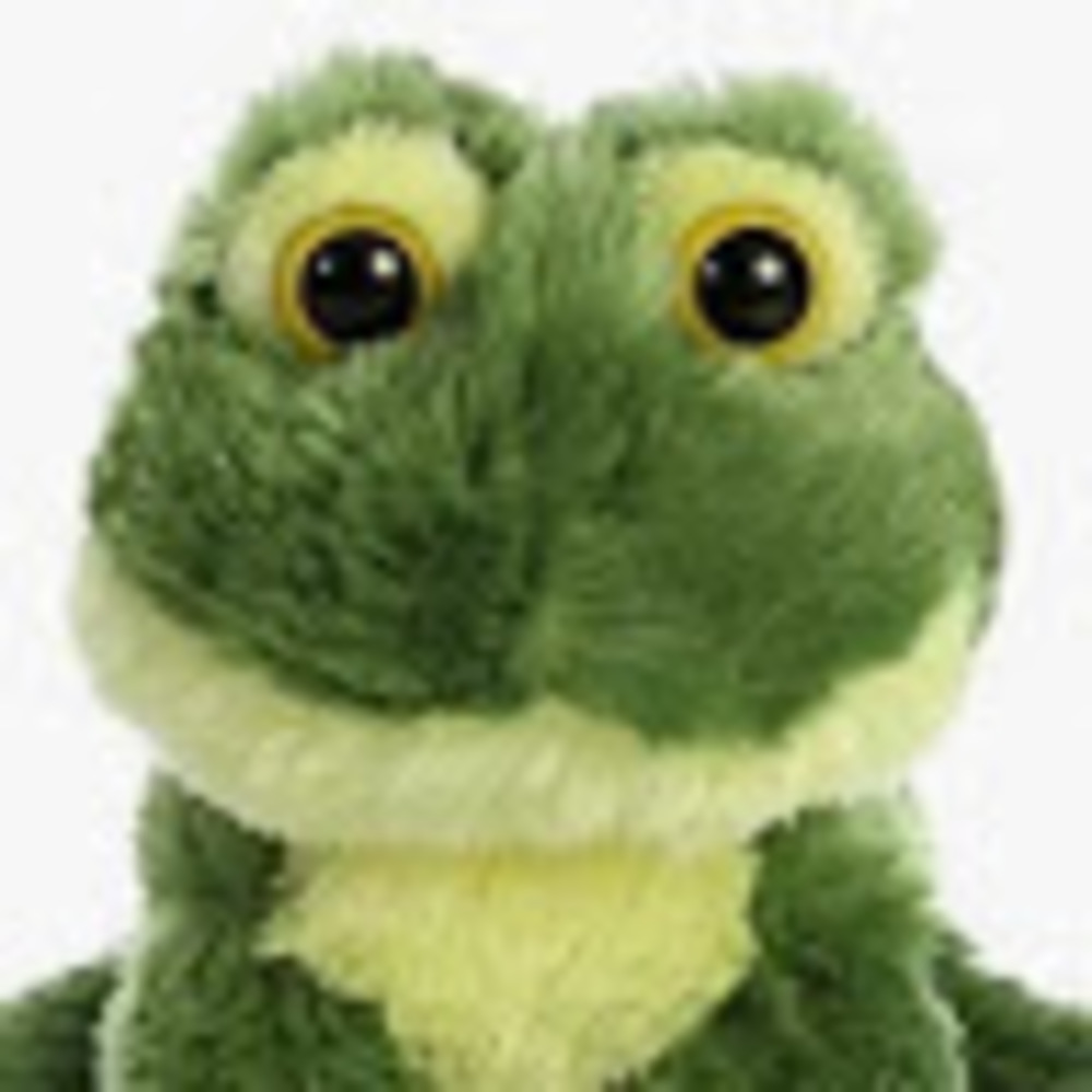 Meet your Posher, Froggypebbles